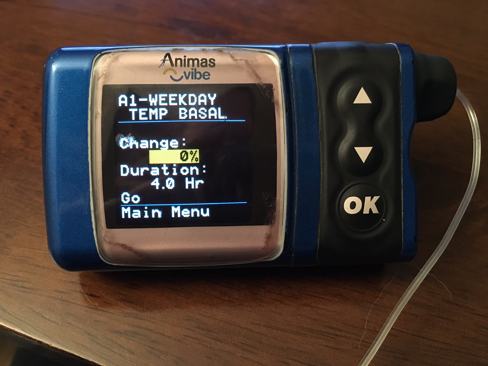 Insulin Basal Rate for Circuit Training